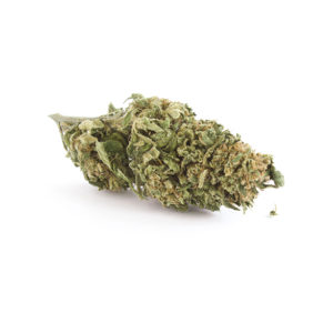 cbd, cannabis, thc, revendeur, suisse, white, label, production, fournisseur, chanvre, bénéfice, produit, shop, tva, huile, hemp, cristaux, fleurs, grossiste, weed, légal, professionnel, green, syndicate, agricole, culture, qualité, analyse, laboratoire, ambassadeur, commerce, industriel, cannabinoïde, vente, cultivateur, avantage, growshop, détaillant, marchandise, kiosque, quantité, livraison, boutique, taux, loi, 1%, thérapeutique, effet, marijuana, cannabidiol, tabac, contact, hempvetic, vente, acheter, achat, vendre, gramme, kilo, kilos, tête, têtes, qualité, revendeur, bouture, contrat, fumer, ligne, commande, contact, gorilla, pinky, aloha, 1985, space, ship, autorisation, cigarette, briquet, haute, qualité, livraison, médical, domicile, dealer, boutique, marque, logo, indoor, outdoor, psychotrope, stupéfiant, détente, relaxant, magasin, taxe, numéro, revers, quantité, feuilles, rouler, distributeur, graine, joint, laboratoire, analyse