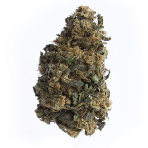 cbd, cannabis, thc, revendeur, suisse, white, label, production, fournisseur, chanvre, bénéfice, produit, shop, tva, huile, hemp, cristaux, fleurs, grossiste, weed, légal, professionnel, green, syndicate, agricole, culture, qualité, analyse, laboratoire, ambassadeur, commerce, industriel, cannabinoïde, vente, cultivateur, avantage, growshop, détaillant, marchandise, kiosque, quantité, livraison, boutique, taux, loi, 1%, thérapeutique, effet, marijuana, cannabidiol, tabac, contact, hempvetic, vente, acheter, achat, vendre, gramme, kilo, kilos, tête, têtes, qualité, revendeur, bouture, contrat, fumer, ligne, commande, contact, gorilla, pinky, aloha, 1985, space, ship, autorisation, cigarette, briquet, haute, qualité, livraison, médical, domicile, dealer, boutique, marque, logo, indoor, outdoor, psychotrope, stupéfiant, détente, relaxant, magasin, taxe, numéro, revers, quantité, feuilles, rouler, distributeur, graine, joint, laboratoire, analyse