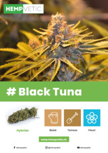 cbd, cannabis, thc, revendeur, suisse, white, label, production, fournisseur, chanvre, bénéfice, produit, shop, tva, huile, hemp, cristaux, fleurs, grossiste, weed, légal, professionnel, green, syndicate, agricole, culture, qualité, analyse, laboratoire, ambassadeur, commerce, industriel, cannabinoïde, vente, cultivateur, avantage, growshop, détaillant, marchandise, kiosque, quantité, livraison, boutique, taux, loi, 1%, thérapeutique, effet, marijuana, cannabidiol, tabac, contact, hempvetic, vente, acheter, achat, vendre, gramme, kilo, kilos, tête, têtes, qualité, revendeur, bouture, contrat, fumer, ligne, commande, contact, gorilla, pinky, aloha, 1985, space, ship, autorisation, cigarette, briquet, haute, qualité, livraison, médical, domicile, dealer, boutique, marque, logo, indoor, outdoor, psychotrope, stupéfiant, détente, relaxant, magasin, taxe, numéro, revers, quantité, feuilles, rouler, distributeur, graine, joint, laboratoire, analyse